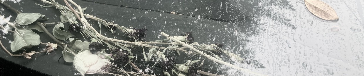 camera: captures ghosts