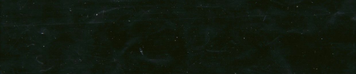 antisankari.