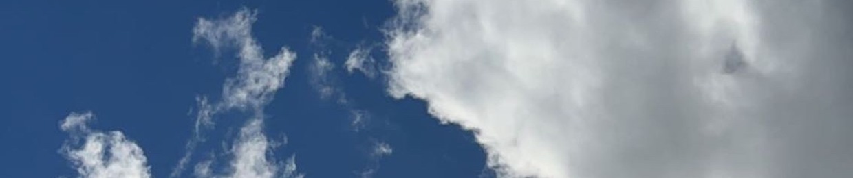 فهاوة