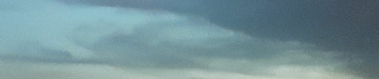 Nguyễn Việt Hoàng