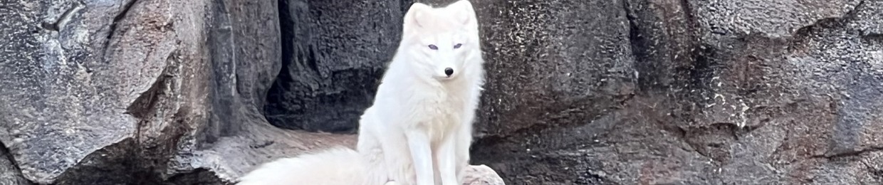 Đỗ CôngMinh