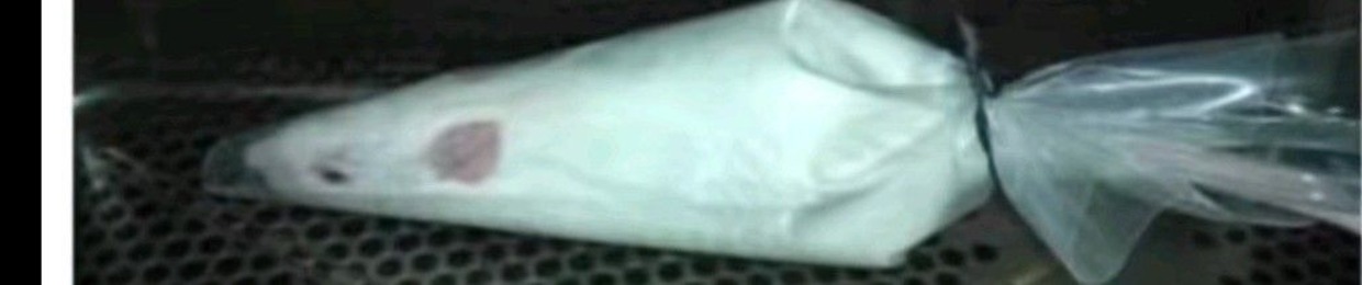 MothVirus
