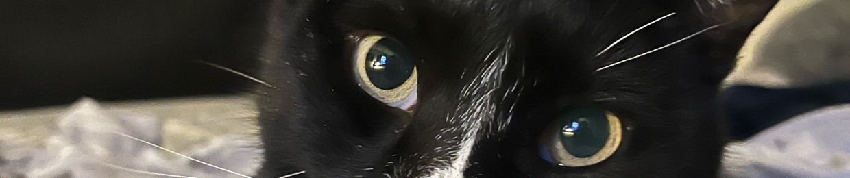 The Aphotic One