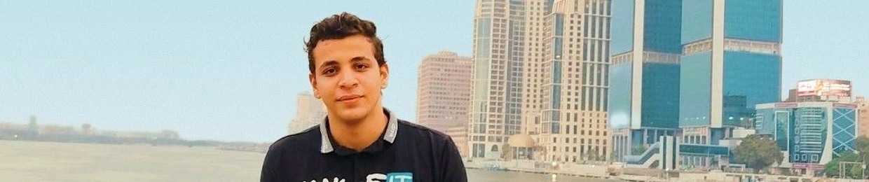 Amr Ali