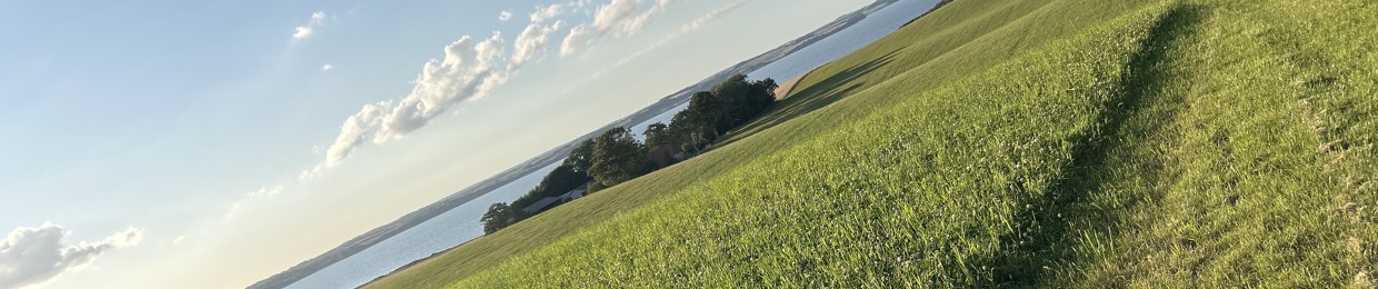 nitefåll