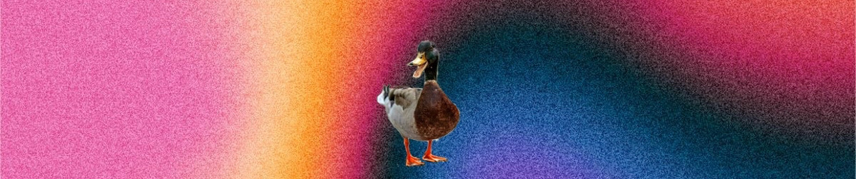 Böird