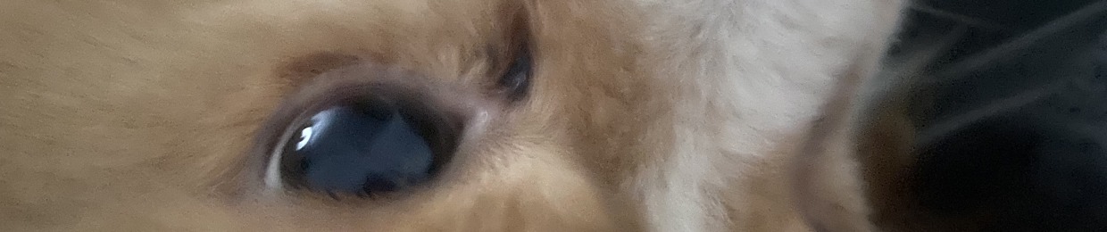 JOE¥