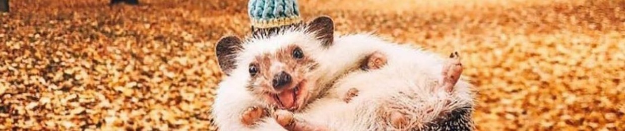 Булгакова Жанна