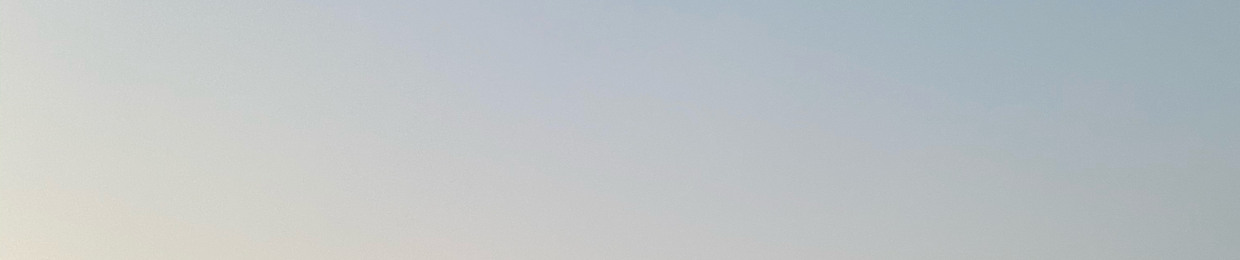 Trong Nhan Dam Nguyen