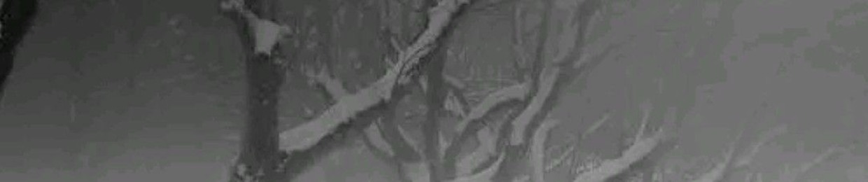 VinceqX4