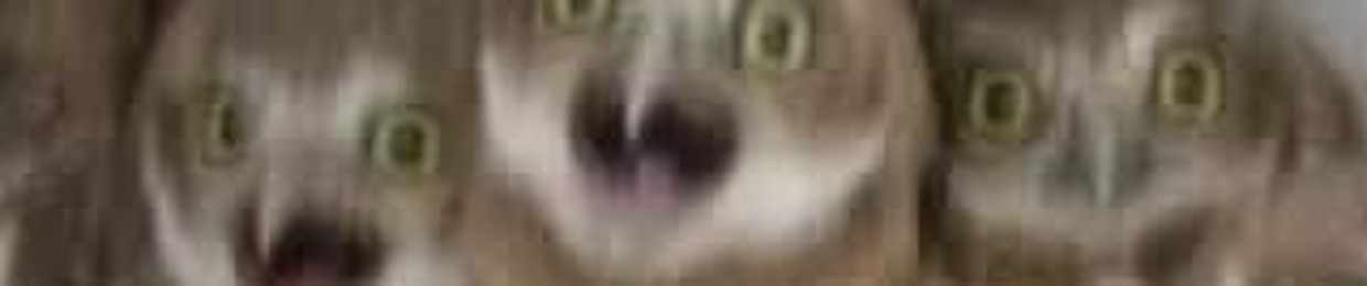 k0_don