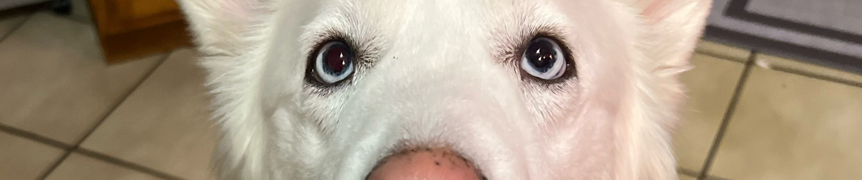 lil blu