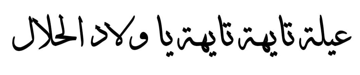 Amr Elzero