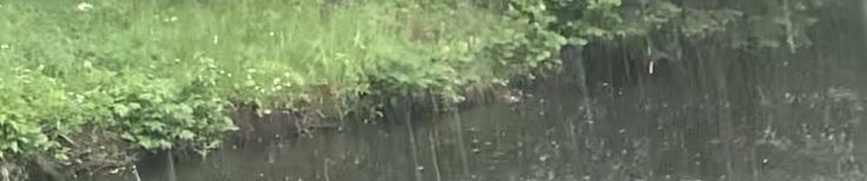 yamai