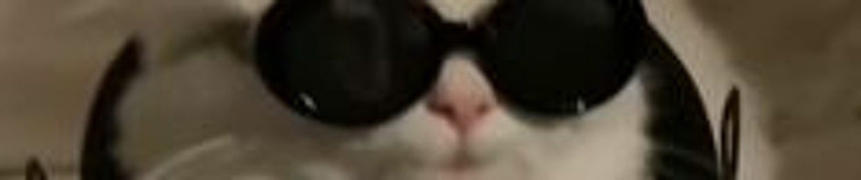 하뀸🍙