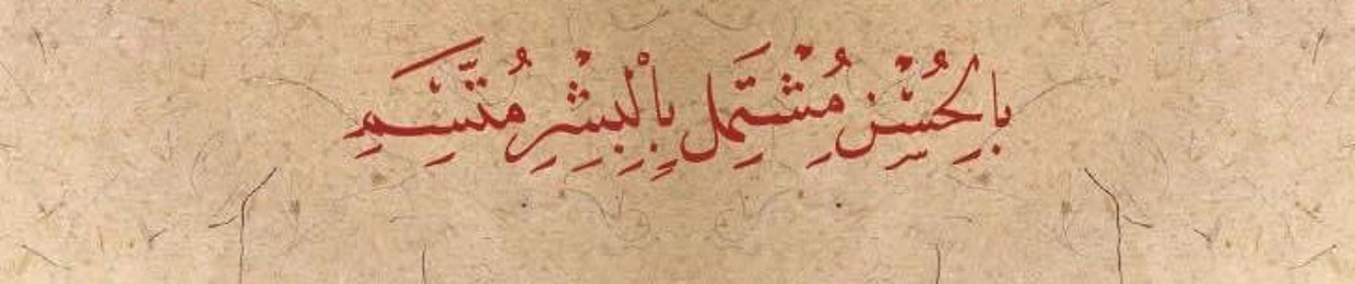 mohamed Amer