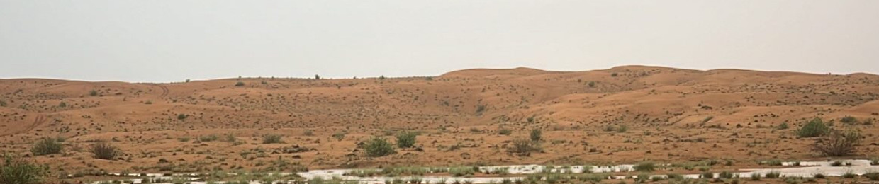سيف المرزوقي