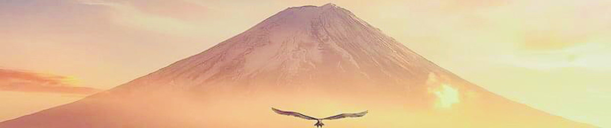 Wait Tờ Rí✈️🫠