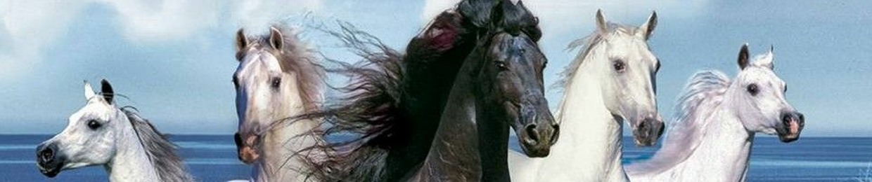 أبو عبدالملك