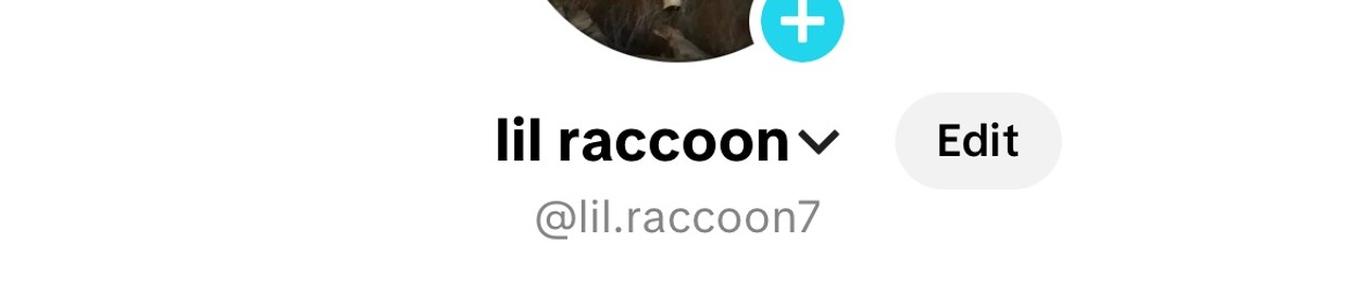Lil raccoon