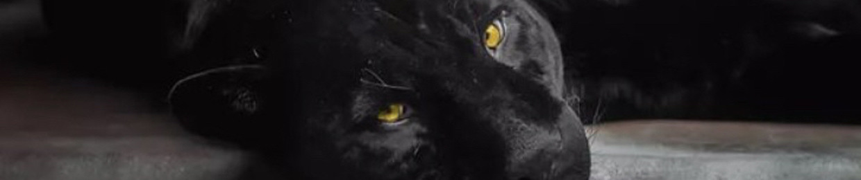 Panther