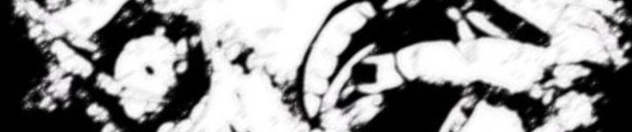 sleeplessw1llow
