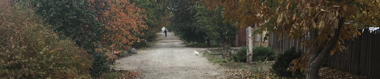 molodoy.devris