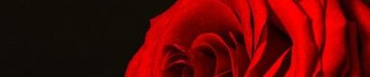 Feddy Rose