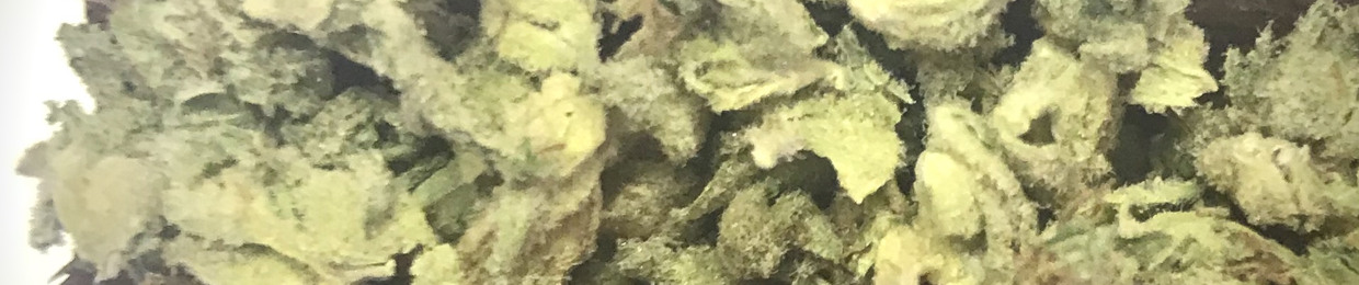Methuselah