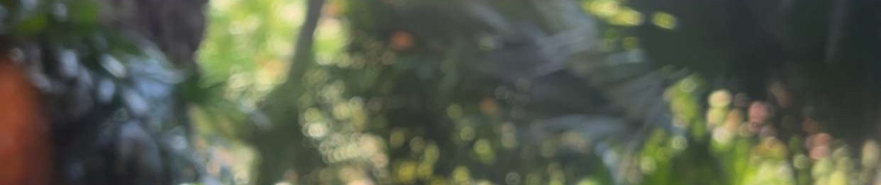 SoundCloud banner for @cookies