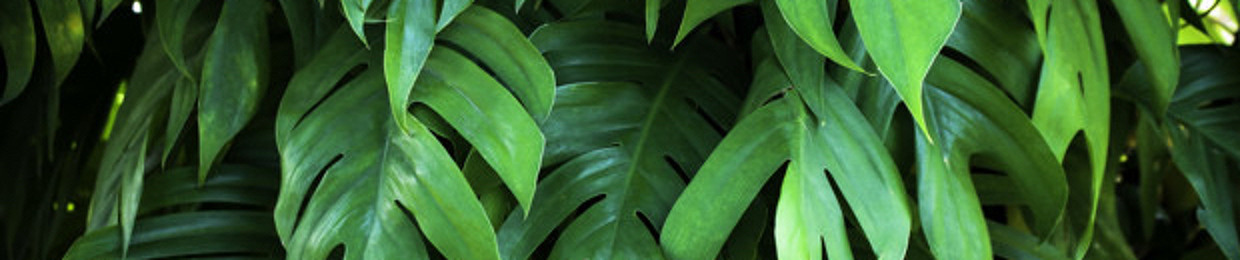 quicksand visuals facebook quicksand visuals facebook
