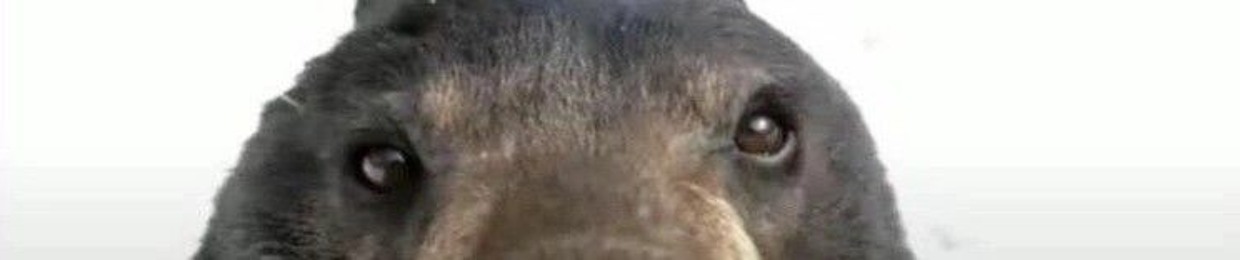 ♧◇♡♤ian♤♡◇♧