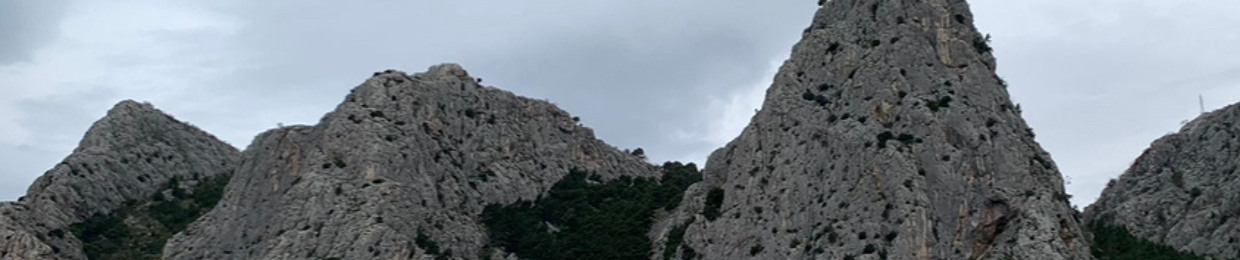 kaytek