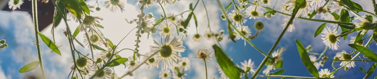 Maddy (Madgo.Productions)