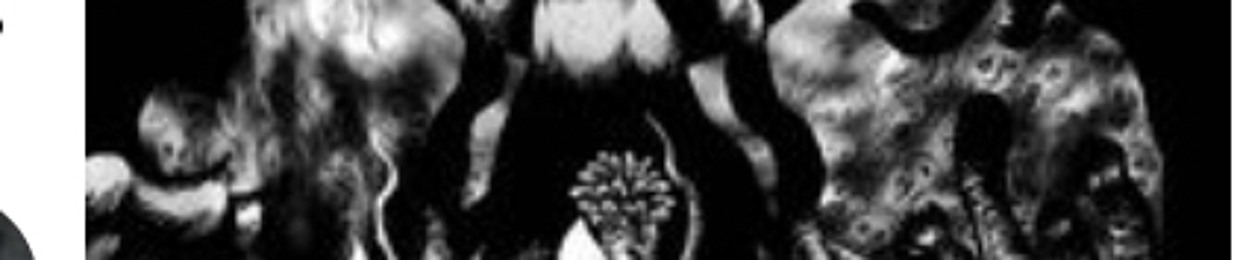 lunallaby