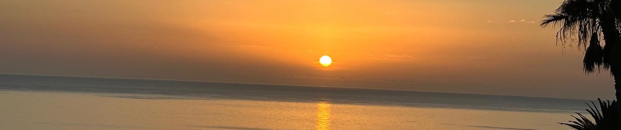 Horizyn