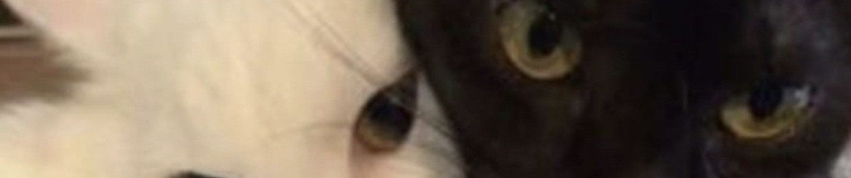 <3