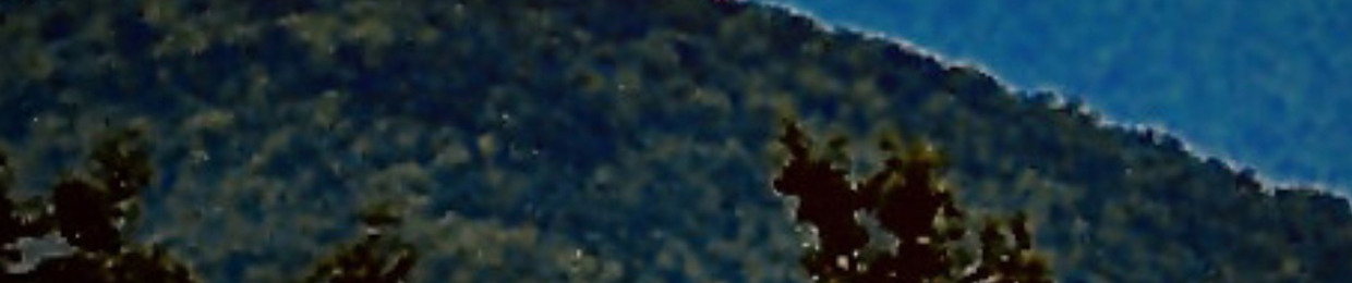d33