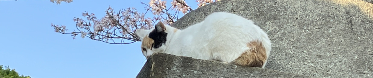 おくの(わをん)