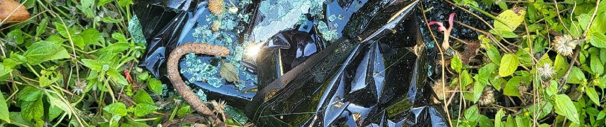 Notes from Ashes