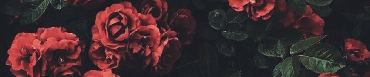 enzobenzo🥀