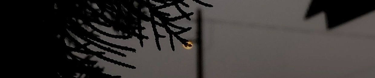 ʰᵃʳᶻᶻ