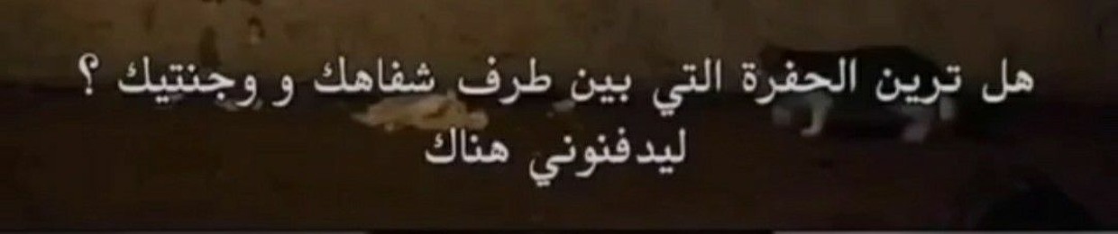 ⚓ El-NaGGaR ⚓