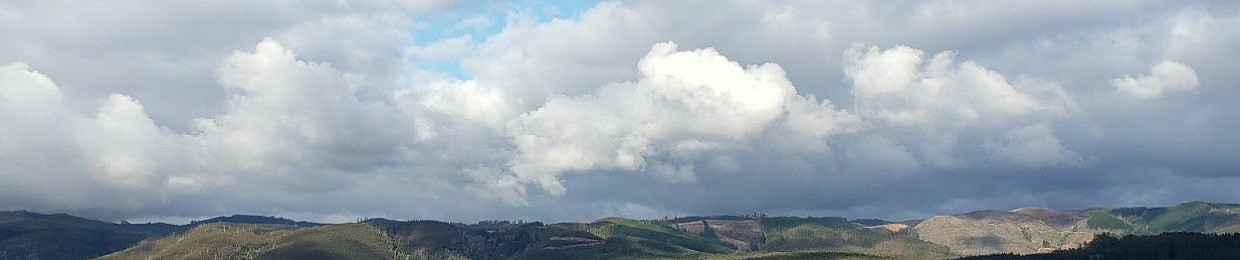 kz