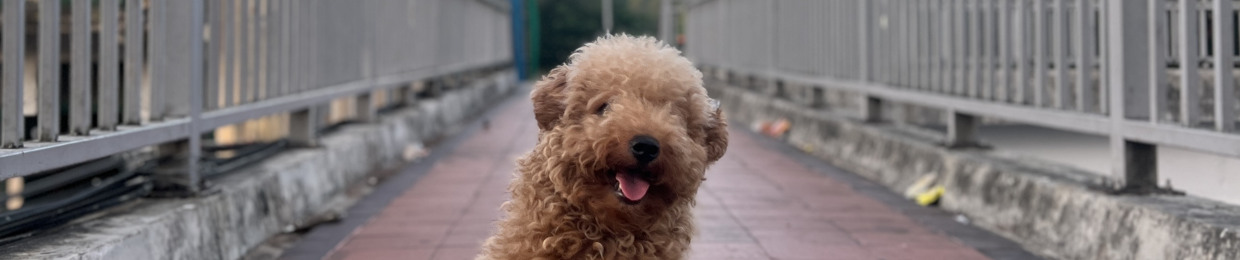 ネタン