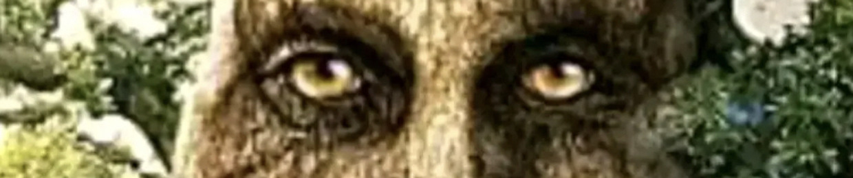 vichrk