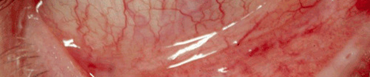 𝔐𝔦𝔯𝔞𝔫𝔡𝔞