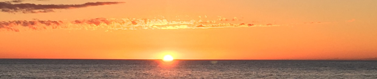 Sean_SunNyBoii_Saimon (RugzdamoN)