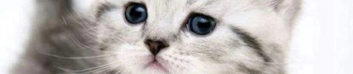 send_n