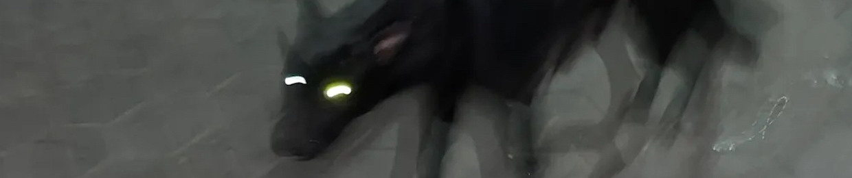 𝐨𝐬𝐚𝐦𝐚 𝐫𝐦𝐫𝐦